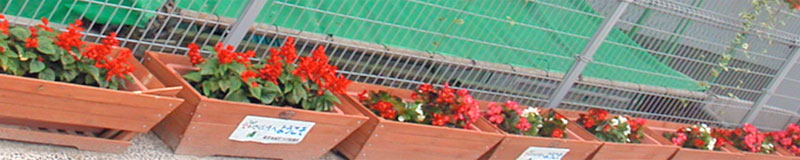 万博会場の工事