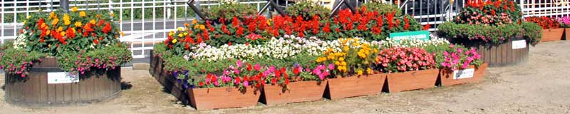 万博会場の工事