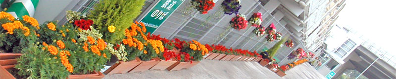 万博会場の工事