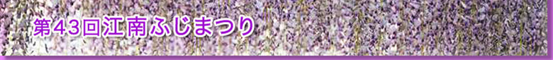 江南ふじまつり